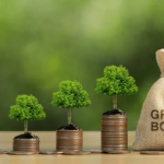 Green Energy Investments Accelerate Amid Policy Incentives