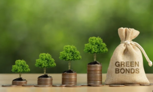 Green Energy Investments Accelerate Amid Policy Incentives